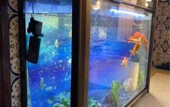 Aquarium