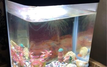 Aquarium