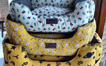 Coussins pour chats et chiens