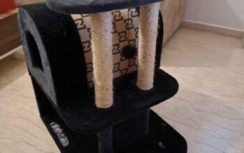 Maisons Pour Chats