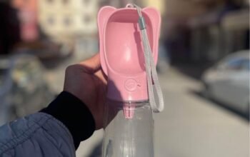 Bol d’eau pour chien