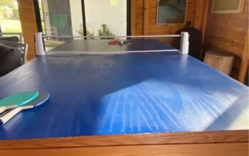 Table De Billard Et De Ping Pong