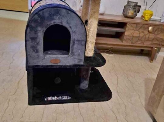 Maisons Pour Chats