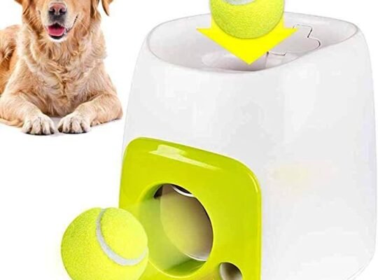 Lanceur de balle interactif pour chiens