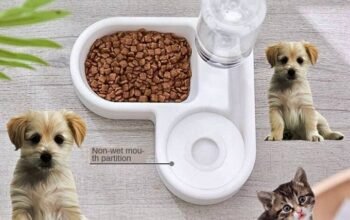 Abreuvoirs Automatique pour Animaux de Compagnie