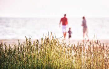 Les activités de plein air pour profiter de l’été.